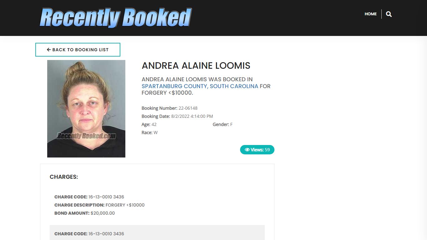 Recent Booking / Mugshot for ANDREA ALAINE LOOMIS in Spartanburg County ...